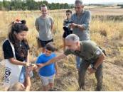 Segunda suelta- Campaña 2025