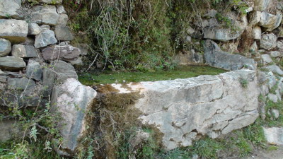 Fuente del bebedero