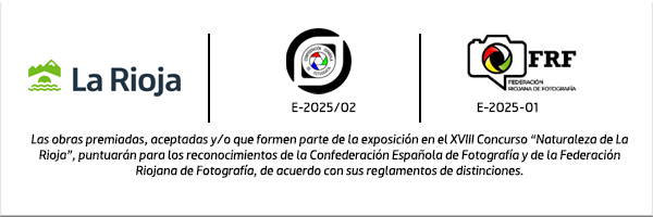 premios_reconocimiento copia