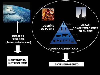 metales pesados