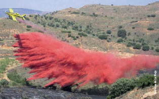 incendios forestales