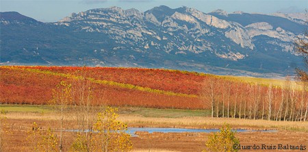 laguna de Hervías