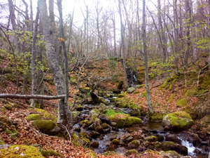 paseo Parque Natural Sierra de Cebollera