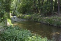 Ribera río de La Rioja