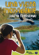 actividades alfaro 2008