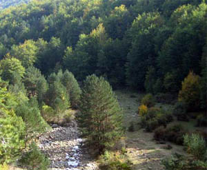 Parque Natural Sierra de Cebollera