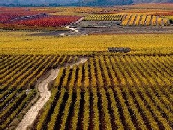 fotografía Ramón Vega