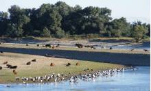 reserva Natural Alfaro