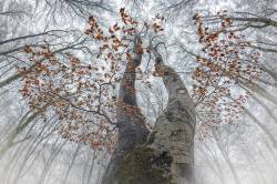 3_PabloPerezHerreroEl Emperador