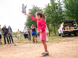 ayudale_a volar_balance_peq2