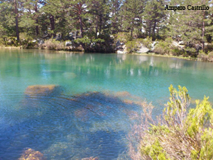 laguna verde (Soria)