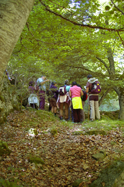 paseo en parque natural Sierra de Cebollera