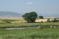 Laguna de Hervías