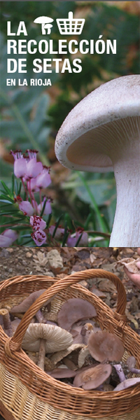 la recolección de setas en La Rioja