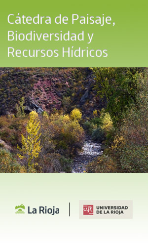 imagen catedra copia