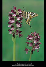 cartel La Rioja, espacio natural