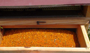 polen en la Reserva de la Biosfera