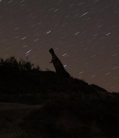 cielo estrellado de enciso