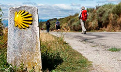 camino_santiago