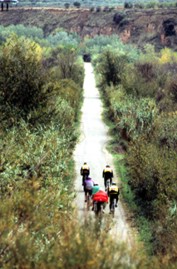 Ciclistas por la vía verde del Cidacos