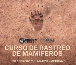 Curso huellas y rastros FEBRERO 26_peq.pdf