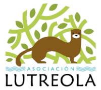 Logo as. Lutreola